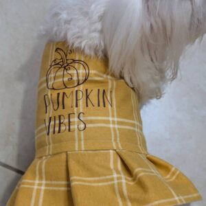 Cozy Fall Flannel Dog Dress | Plaid Pet Outfit with Quotes | Autumn Dog Apparel